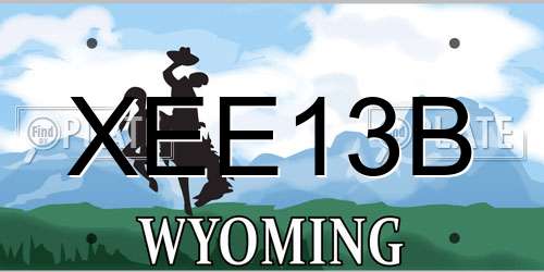 XEE13B Wyoming License Plate