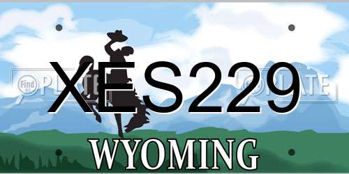 XES229 Wyoming License Plate