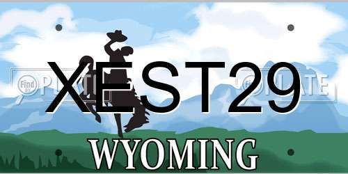 XEST29 Wyoming License Plate