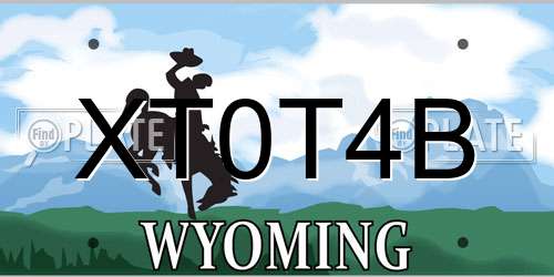 XT0T4B Wyoming License Plate