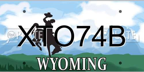 XTO74B Wyoming License Plate