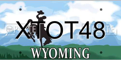 XTOT48 Wyoming License Plate