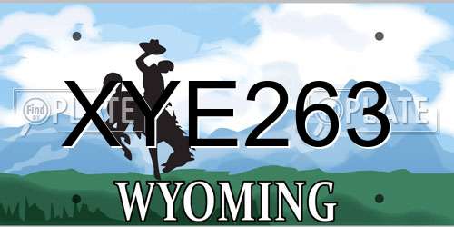 XYE263 Wyoming License Plate