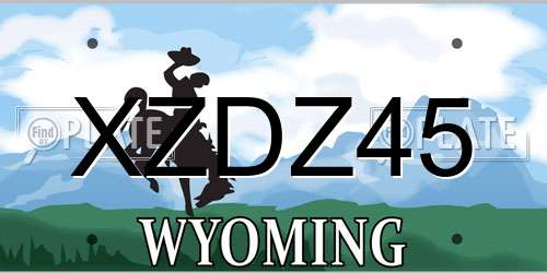 XZDZ45 Wyoming License Plate