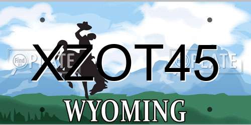 XZOT45 Wyoming License Plate