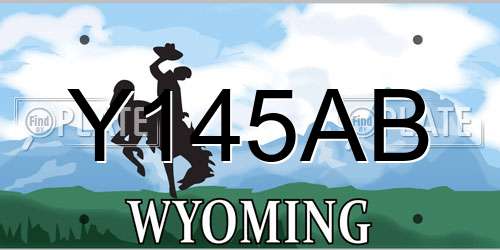 Y145AB Wyoming License Plate