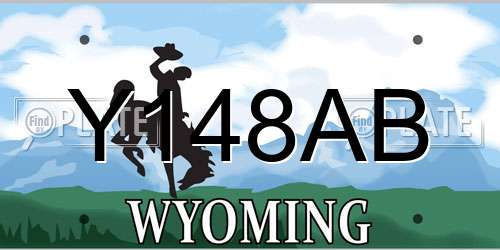 Y148AB Wyoming License Plate