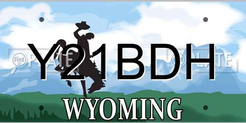 Y21BDH Wyoming License Plate