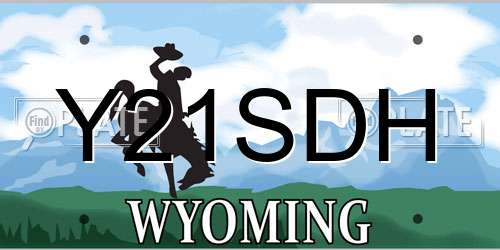 Y21SDH Wyoming License Plate