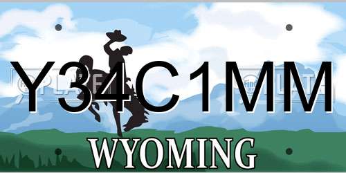 Y34C1MM Wyoming License Plate