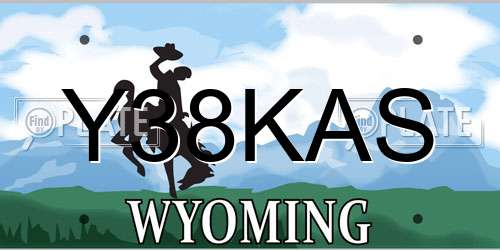 Y38KAS Wyoming License Plate