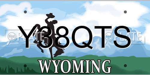 Y38QTS Wyoming License Plate