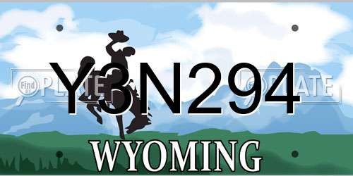 Y3N294 Wyoming License Plate