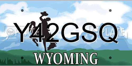Y42GSQ Wyoming License Plate