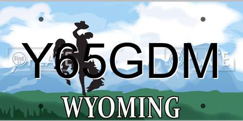 Y65GDM Wyoming License Plate