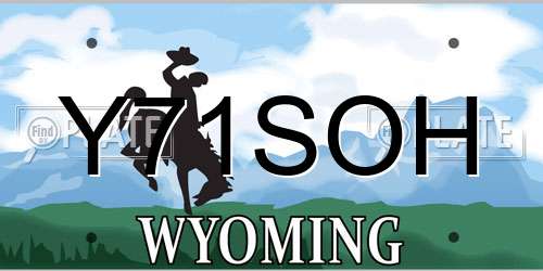 Y71SOH Wyoming License Plate