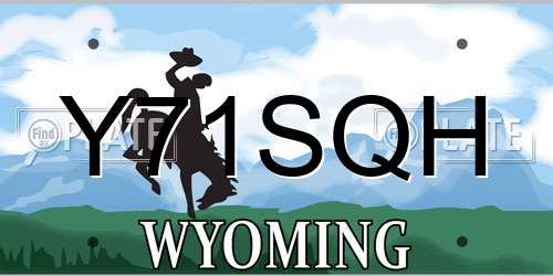 Y71SQH Wyoming License Plate