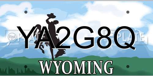 YA2G8Q Wyoming License Plate
