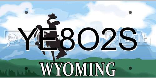 YE8O2S Wyoming License Plate