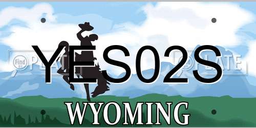 YES02S Wyoming License Plate