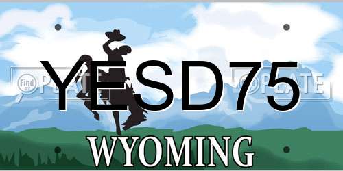 YESD75 Wyoming License Plate