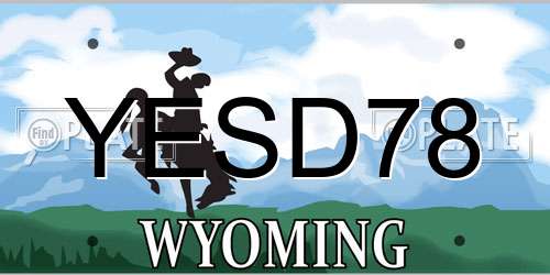 YESD78 Wyoming License Plate