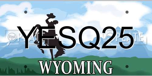 YESQ25 Wyoming License Plate