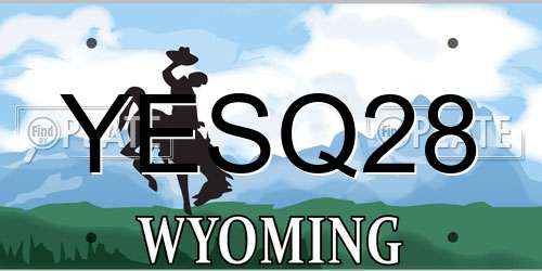 YESQ28 Wyoming License Plate