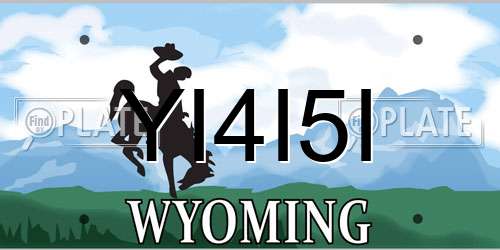 YI4I5I Wyoming License Plate
