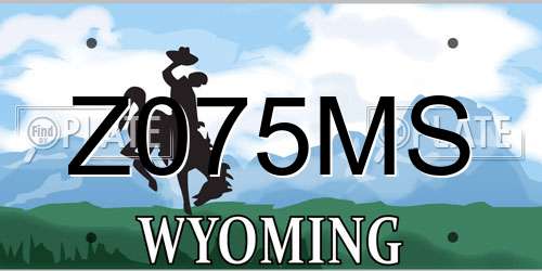 Z075MS Wyoming License Plate