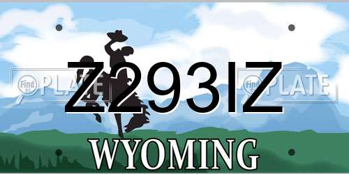 Z293IZ Wyoming License Plate
