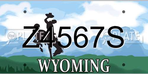 Z4567S Wyoming License Plate