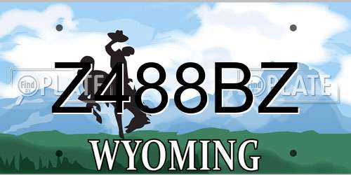 Z488BZ Wyoming License Plate