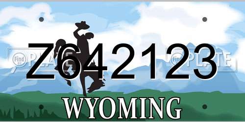 Z642123 Wyoming License Plate