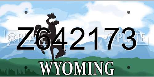 Z642173 Wyoming License Plate