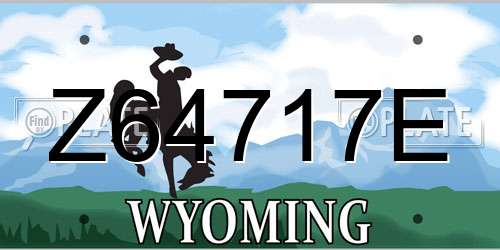 Z64717E Wyoming License Plate
