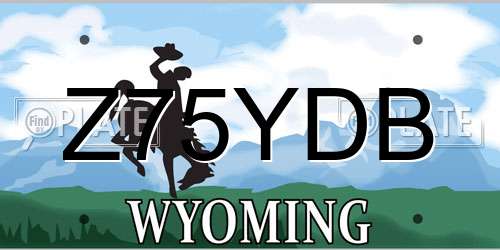 Z75YDB Wyoming License Plate