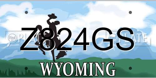 Z824GS Wyoming License Plate