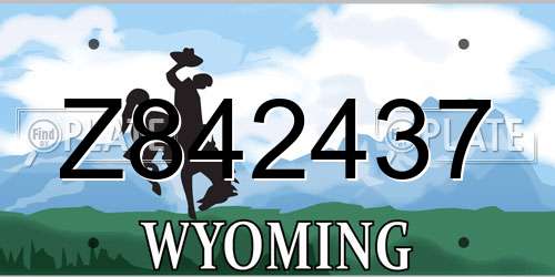Z842437 Wyoming License Plate