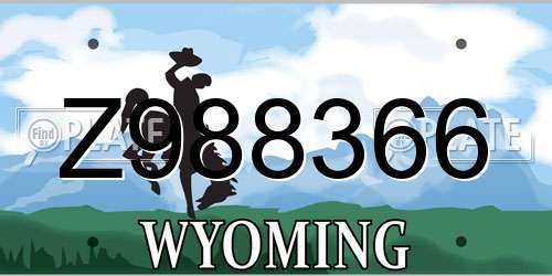 Z988366 Wyoming License Plate
