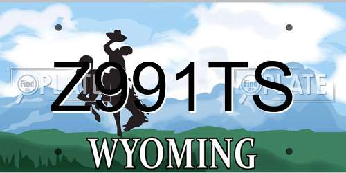 Z991TS Wyoming License Plate