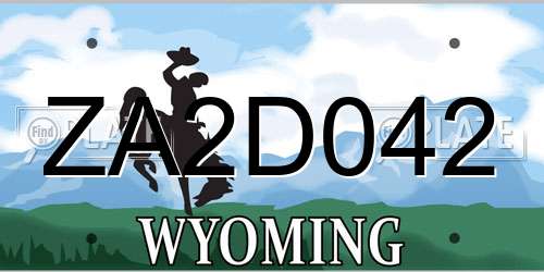 ZA2D042 Wyoming License Plate