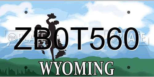 ZB0T560 Wyoming License Plate