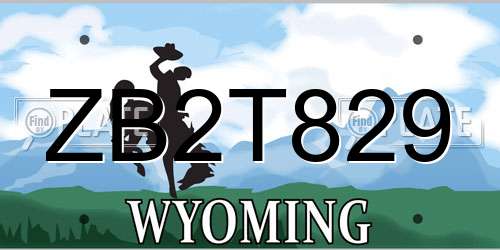 ZB2T829 Wyoming License Plate