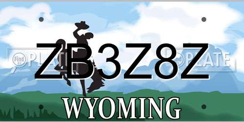 ZB3Z8Z Wyoming License Plate