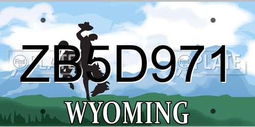 ZB5D971 Wyoming License Plate