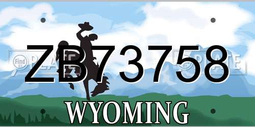 ZB73758 Wyoming License Plate