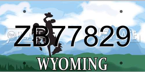ZB77829 Wyoming License Plate