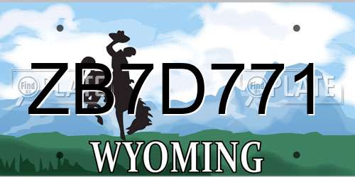 ZB7D771 Wyoming License Plate