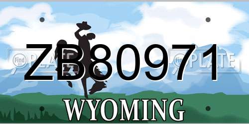 ZB80971 Wyoming License Plate